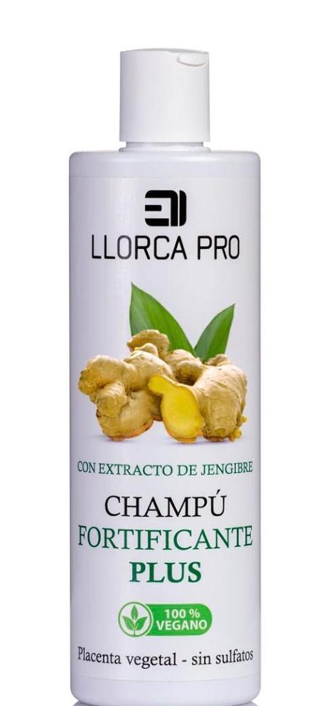 CHAMPÙ JENGIBRE