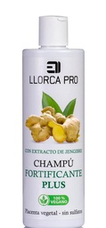 CHAMPÙ JENGIBRE